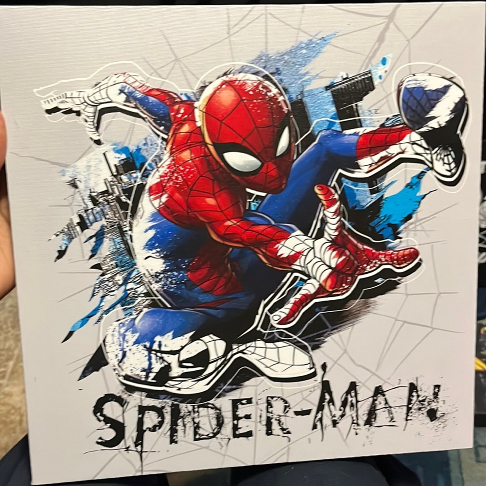 basically brand new wall decor .